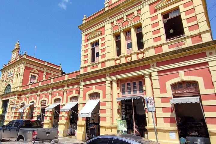 Meeting of the Waters and Amazonas Opera House - Half Day Tour