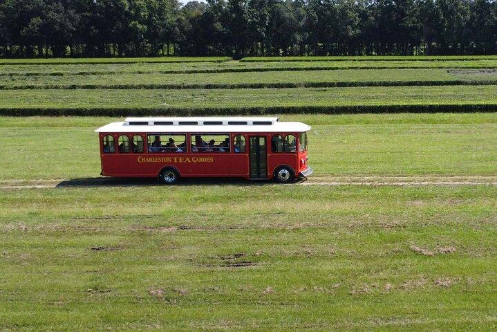 Trolley Tour in Wadmalaw Island of South Carolina