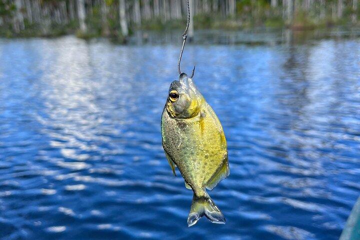 Fishing for Piranhas in Lake Yacumama