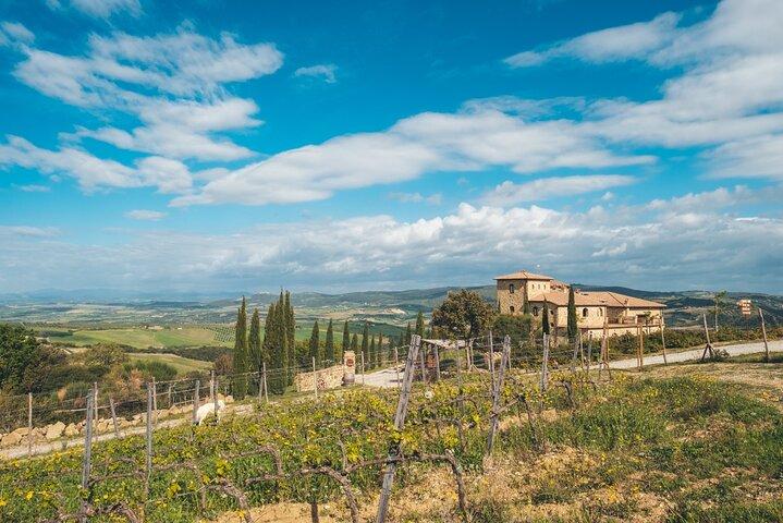 Visit to the Cellar with Wine & Food Tasting over the Val d'Orcia