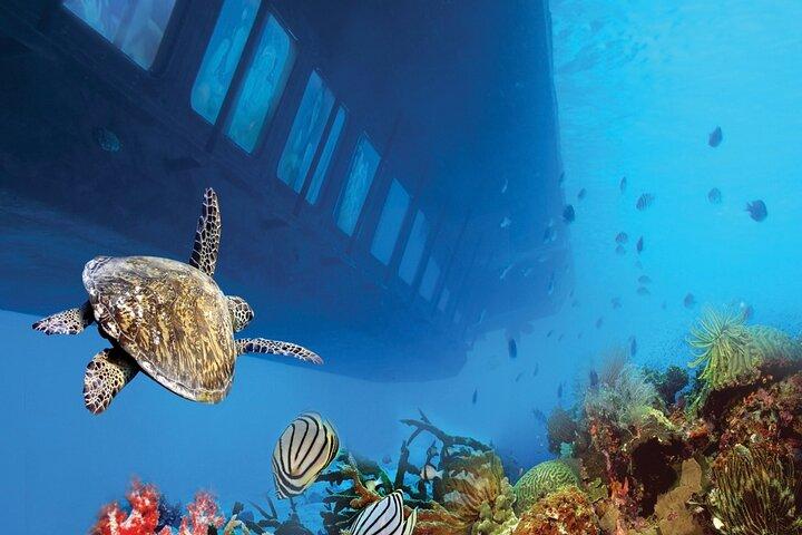 Dahab: Royal Seascope Submarine Guided Boat Tour