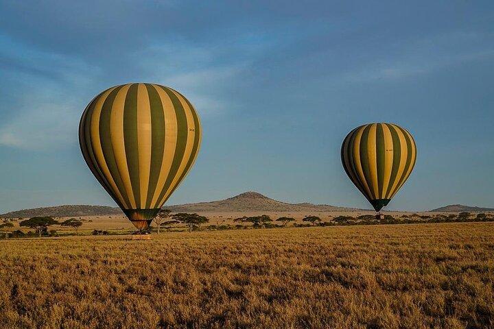 Day Trip Safari in Ngorongoro crater