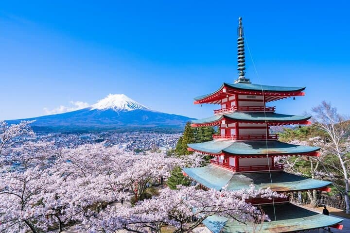 Tokyo: 10-hour Mount Fuji Private Customizable Day Tour