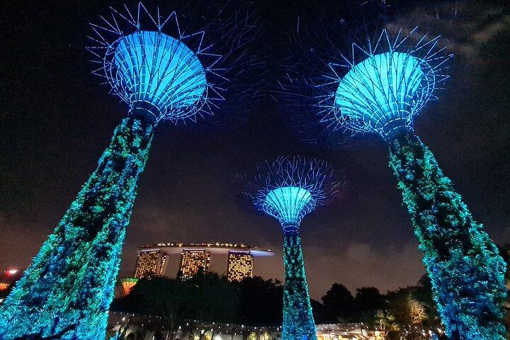 Private Mini-Bus Transfer to Attractions in Singapore