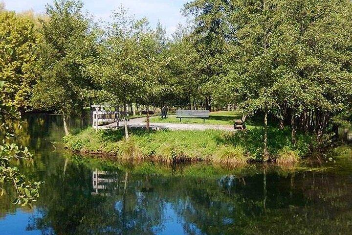 Self Guided E-Bike Tour among the Palladian Villas of Vicenza