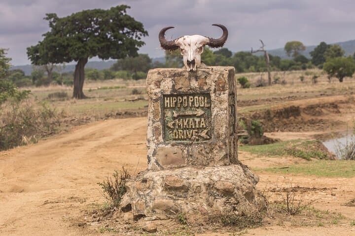 Full-Day Safari Tour from Mikumi National Park of Zanzibar