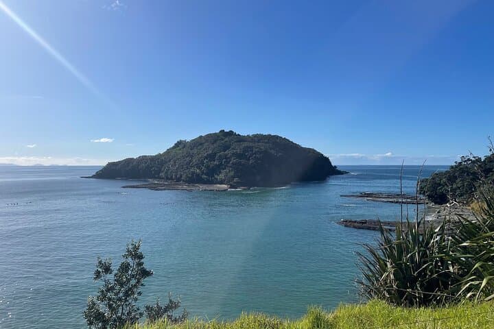 Sheep World Country Tour from Auckland