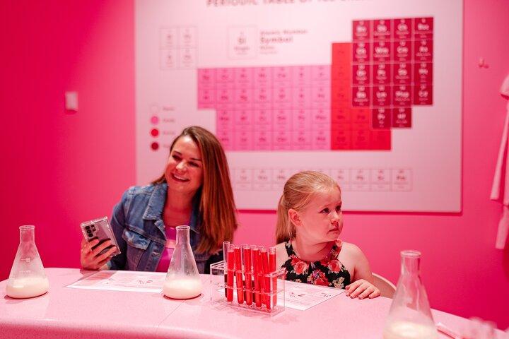 Museum of Ice Cream Chicago Admission Ticket