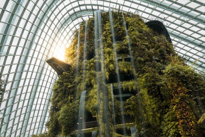 Gardens by the Bay with Marina Bay Sands Skypark