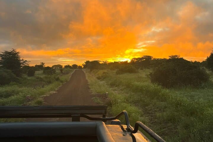 Nairobi National Park Daily Game drives with Land Cruiser JEEP.