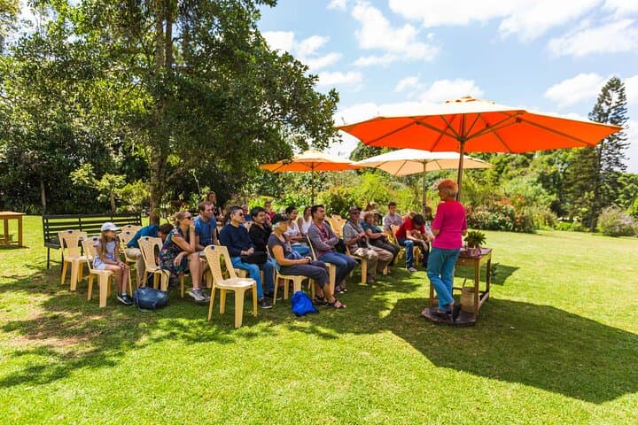 Day Tour to Kiambethu Tea Farm