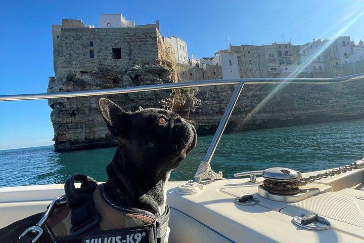 Boat Tour To The Splendid Polignano a Mare Coast