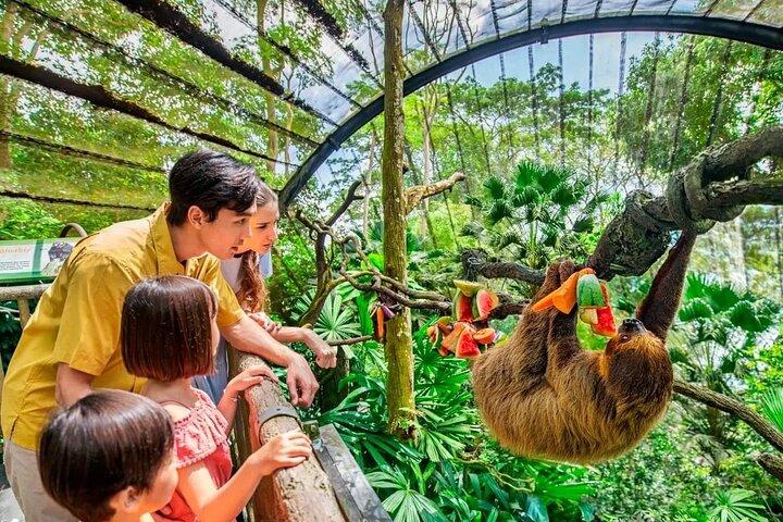 Singapore Zoo & Night Safari Day ( Tickets & Transfer )