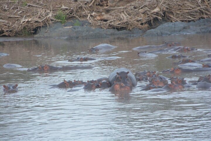 2 Days Tour From Zanzibar to Nyerere National Park (Selous GR)