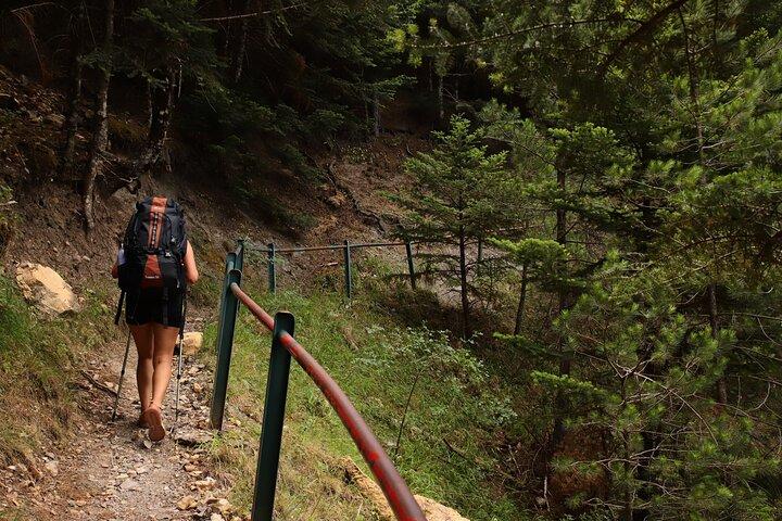 Private Hiking Tour in Athens at The Peak of Taygetos Mountain