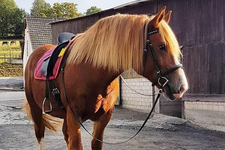 Private Horse Riding Safari Adventure in Nairobi