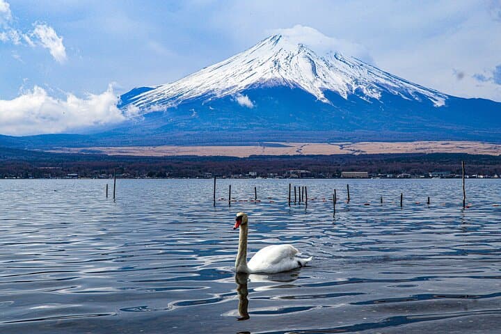 MT. FUJI/ Private Tour delivered and guided by a top-tier driver