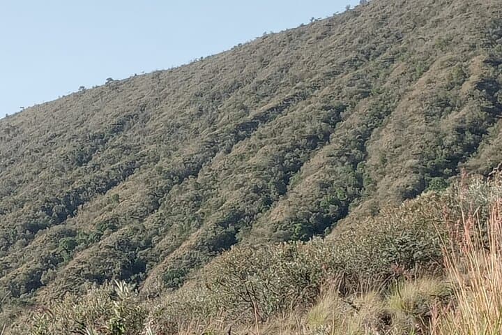 Day Tour to Mount Longonot National Park & Lake Naivasha