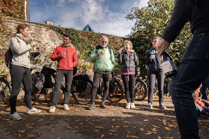 Discover the Beaujolais wines | Guided tour
