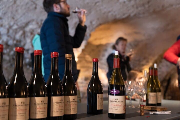 Discover the Beaujolais wines | Guided tour