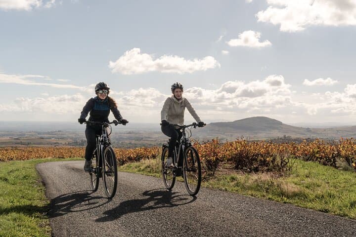 Discover the Beaujolais wines | Guided tour