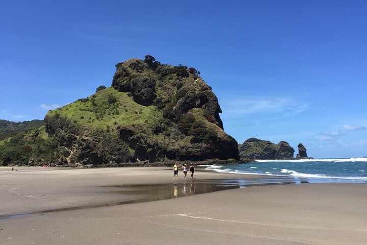 Piha Waitakere Rainforest Wine Tour from Auckland