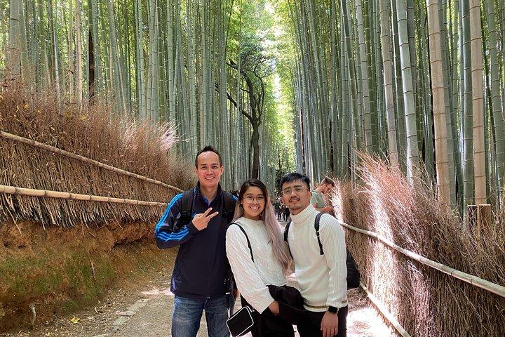 Exclusive Kyoto Day Tour from Osaka by Train and Taxi