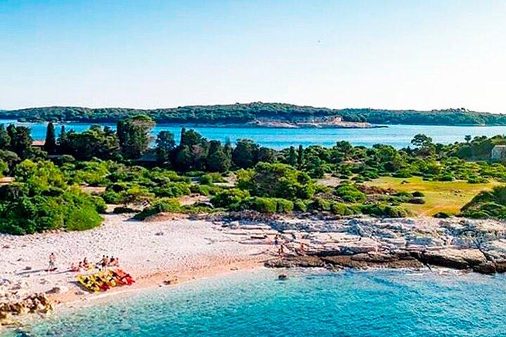 All-Inclusive Island Visit National Park Brijuni & Dolphin Cruise
