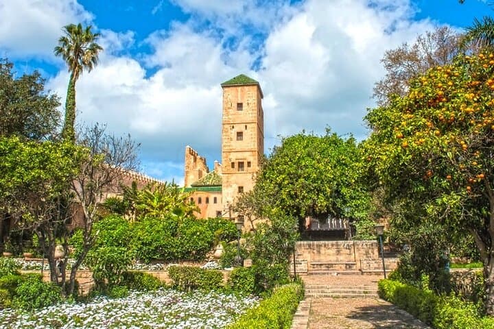 Private Cultural Walking Tour of Rabat with Licensed Tour Guide