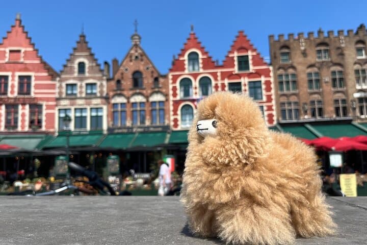 Bruges Private tour from Paris with Tastings
