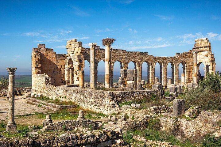 Fes to Volubilis, Moulay Idriss and Meknes private day trip