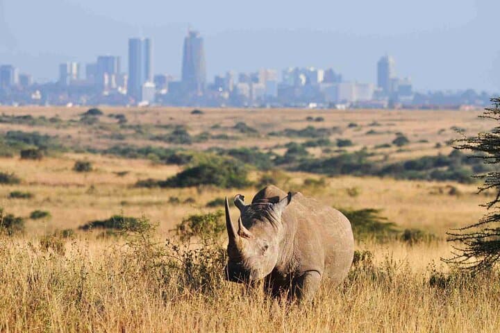 Nairobi National Park with Elephant Orphanage and Giraffe Center.