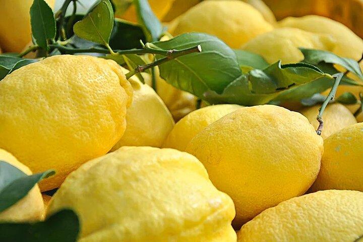 Amalfi Coast - Maiori: Path of Lemons Tour with Tasting