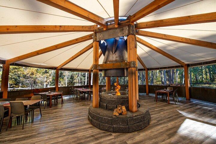 Covered Wagon Ride in Banff with Western Cookout