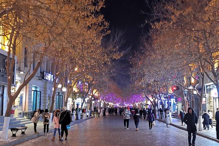 Harbin City Guided Tour to Zhongyang Street and Sophia Church