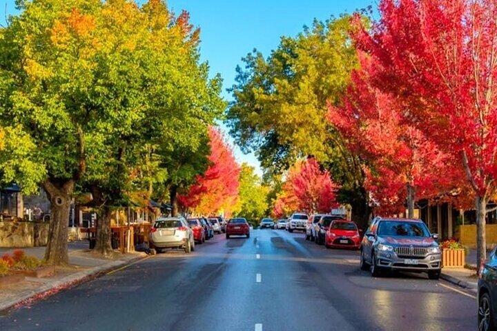 Best of SA, Hahndorf , Victor Harbor & d'arenberg 'Cube' Tour