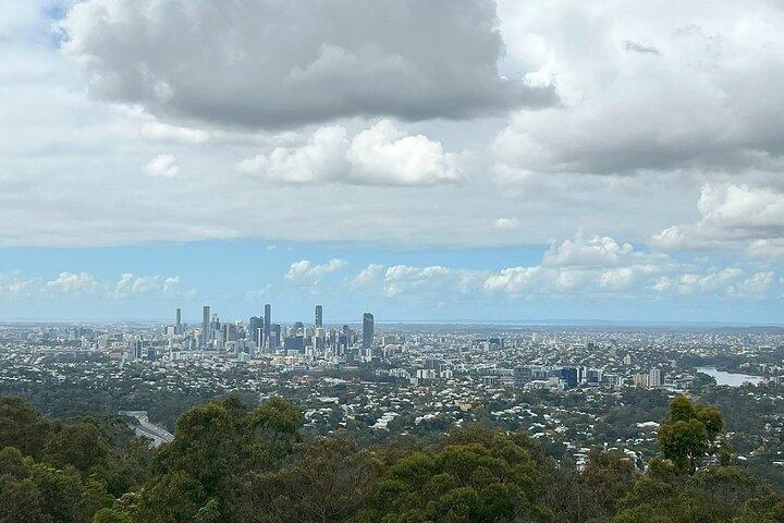 Cruise Lines Shore Tour Brisbane Highlights and Lone Pine