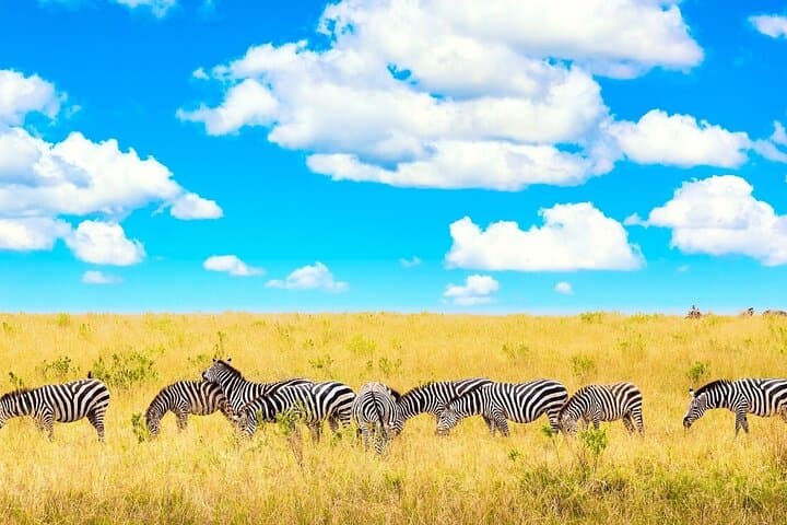 Overnight Tour in Amboseli National Park from Nairobi