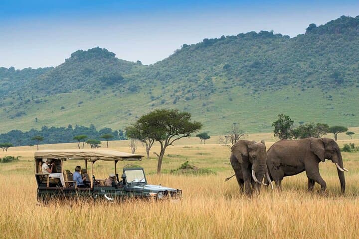 3 Days Maasai Mara Midrange Safari Experience