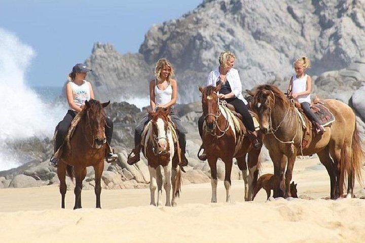 Cabo San Lucas: Pick-2 Adventure Combo
