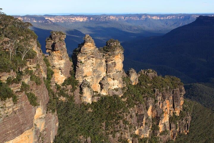 Private Blue Mountain Tour with Wildlife and River Cruise