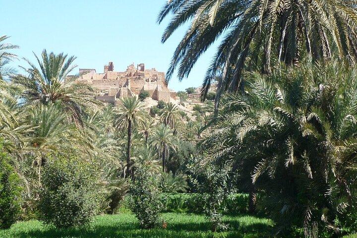 Private Day Trip of Taroudant & Tiout from Agadir