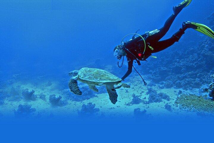 Scuba Diving at Jumeirah Dubai with Private Transfers