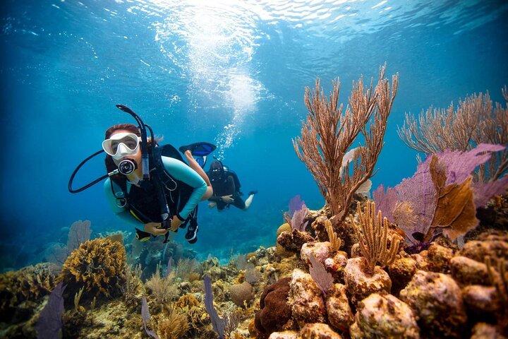 Scuba Diving at Jumeirah Dubai with Private Transfers