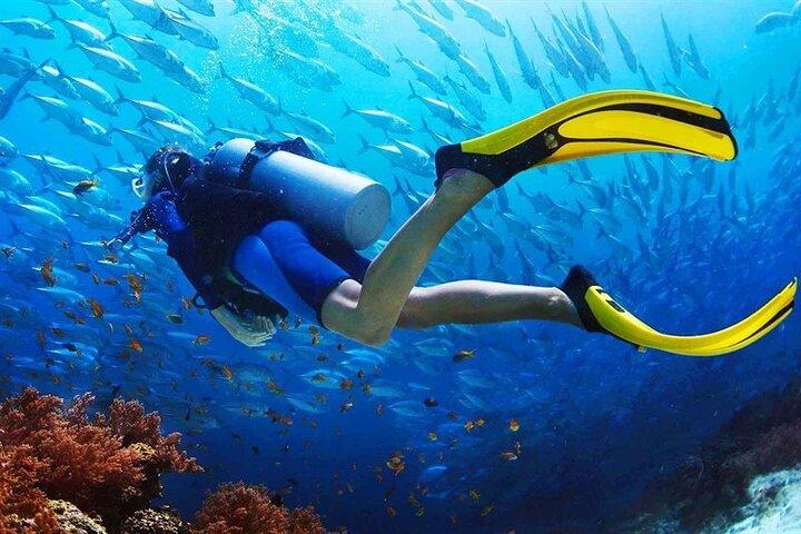 Scuba Diving at Jumeirah Dubai with Private Transfers