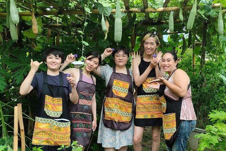 Cooking class in organic garden and local market tour ThaiCottage