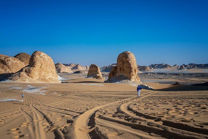 5-Day Private Exploration in Baharyia Oasis