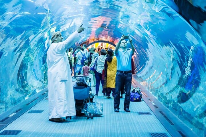Dubai Aquarium & Underwater Zoo Entrance Ticket