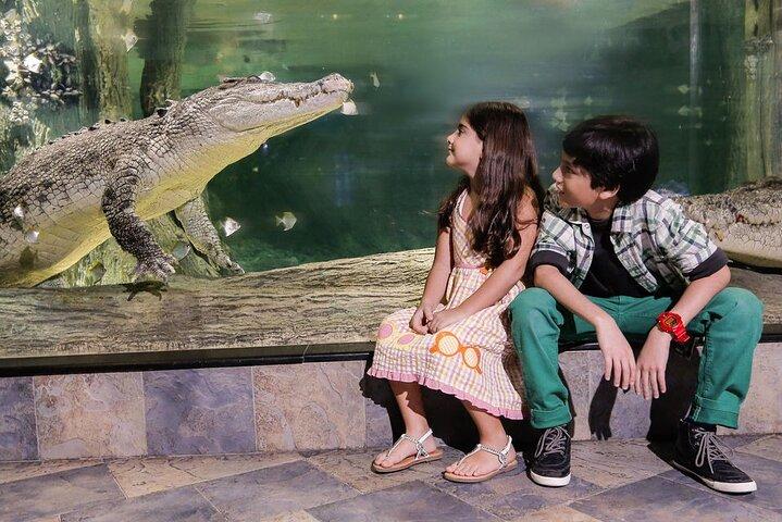Dubai Aquarium & Underwater Zoo Entrance Ticket