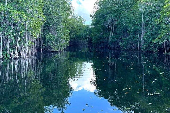 Tour to Black River and YS Falls